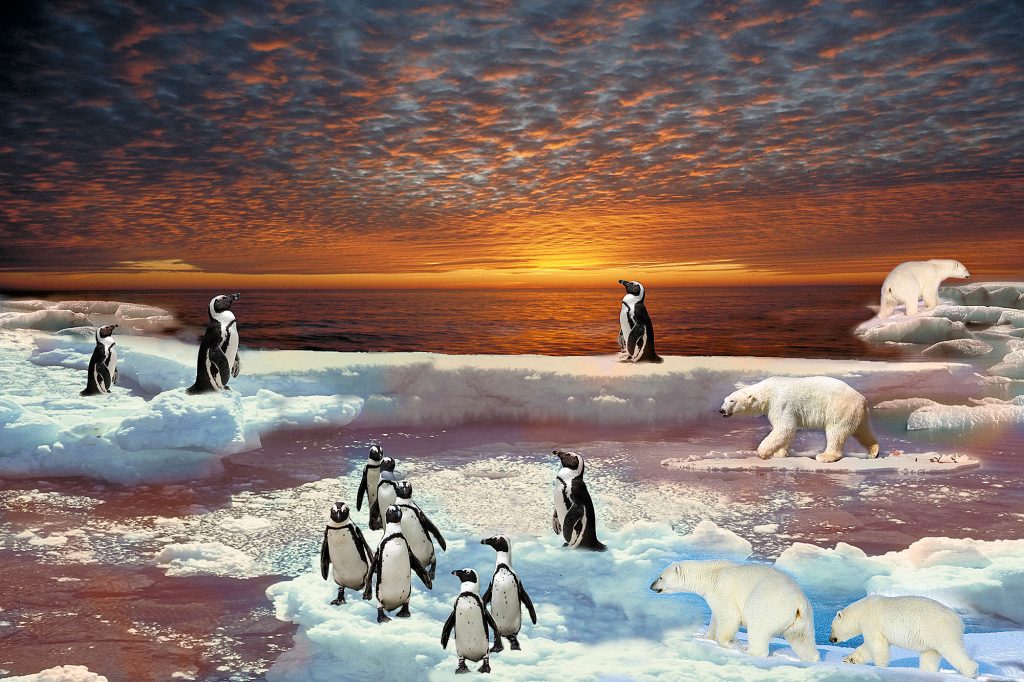 Climate Change-Antarctica Sunset.jpg