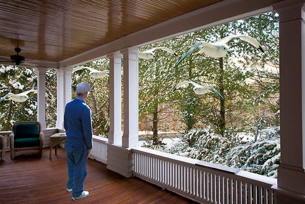 Porch Views-Winter.jpg